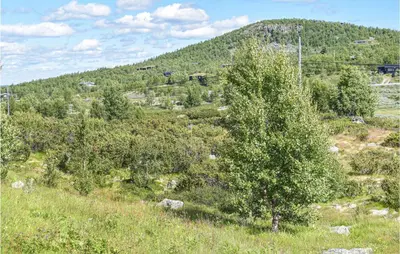 a tree on the side of a hill at 3 Bedroom Amazing Home In Uvdal in Uvdal