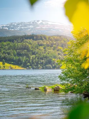 a view of a lake with a snow covered mountain at Ulvik Camping in Ulvik