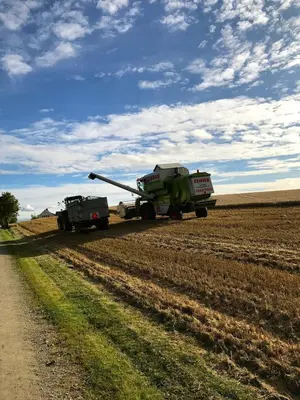 a combine harvester in a field next to a dirt road at Drengstua på Dahl Østre in Stange