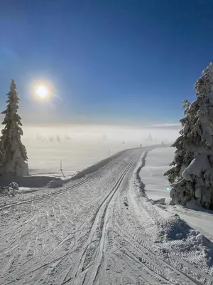 a snow covered road with the sun in the sky at Lys og moderne leilighet rett ved skiløypa på Nordseter - Kort vei til Sjusjøen, Lillehammer og Hafjell - Dyr ikke tillatt in Nordseter