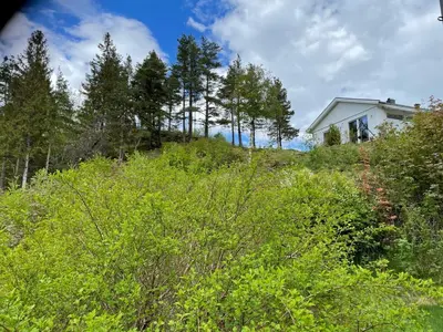 a house on top of a hill with trees at Tunold Gård - Kårhus in Mindresunde