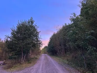 a dirt road with trees on either side at Stille og fredelig med panoramautsikt in Valsøybotn