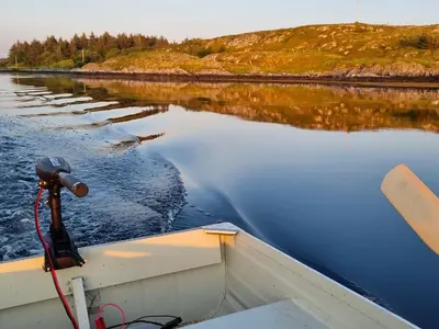 a boat on a body of water with a bird in the water at Vollvaagen Apartments Smøla, boat included in Smøla