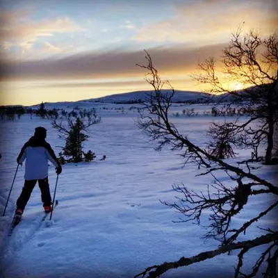 a person cross country skiing in the snow at sunset at In the middle of Trysilfjellet - Welcome Center - Apartment with 3 bedrooms - By bike arena and ski lift in Trysil