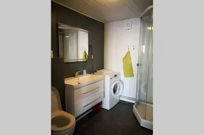 a bathroom with a sink and a washing machine at Høgli på Yttervik gard in Fosnesstranden