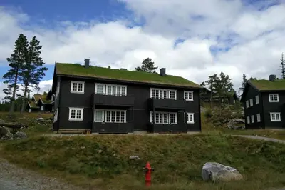 a black house with a green roof and a red fire hydrant at Apartment Gaustablikk in Gaustablikk