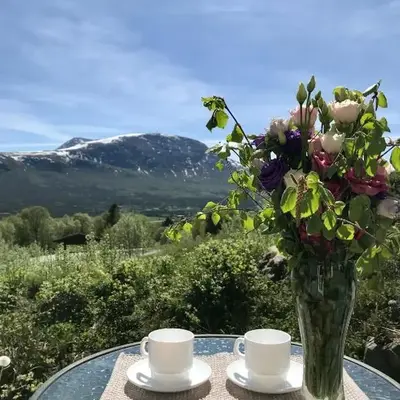 Private apartments!Oppdal Alpintun