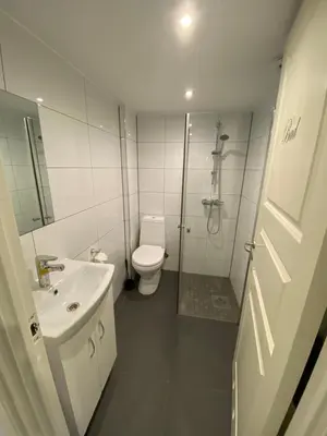 a bathroom with a toilet and a sink and a shower at Sukkertoppen Apartment in Ålesund