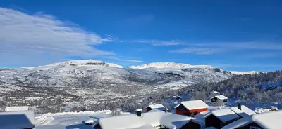 a snow covered mountain with houses and snow covered roofs at Røisheim in Tyinkrysset