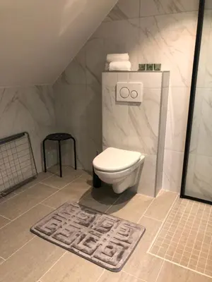 a bathroom with a toilet and a shower and a rug at Atlantic Panorama Villa Kalle in Kristiansund