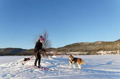a person on skis and a dog in the snow at Luxury Norwegian Cottage in Hurdal