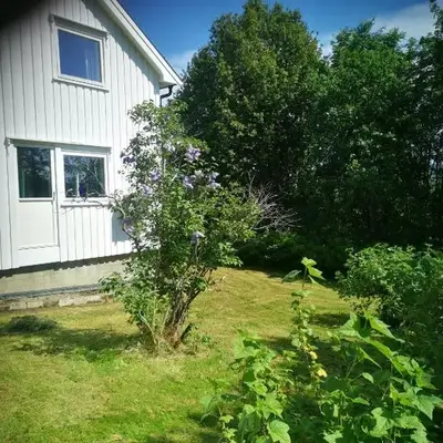 Utleiebolig Fannrem