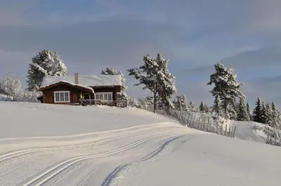 a house on a snowy hill with a snow covered road at Løstegård Cabins in Gol