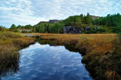 a reflection of the sky in a pond in a field at Austefjordtunet 15 in Forland