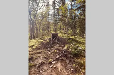 a wooden table in the middle of a forest at Super sentral, flott og solrik leilighet i sentrum in Hemsedal