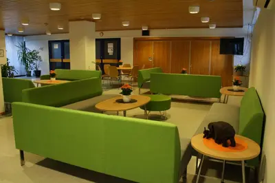 a waiting room with green chairs and a cat on a table at BORG Sommerhotell in Ålesund