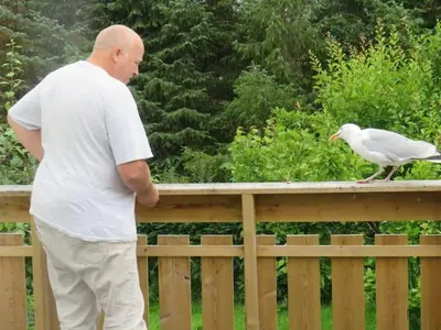 a man looking at a seagull on a wooden fence at Airbnb and Booking at Postvegen 95 in Vigra