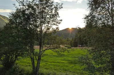a field of green grass with a tree in the foreground at Kråkehaugen Feriehus, a perfect holiday retreat near Åheim in Åheim