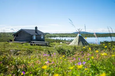 a house and a tent and a field with flowers at Olebu in Skammestein