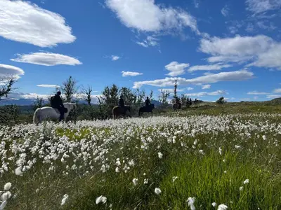 a group of people riding horses in a field of flowers at Olebu in Skammestein
