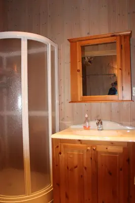 a bathroom with a shower and a sink at Hytte sentralt Ljøsheim, Ringsaker(nær Sjusjøen) in Ringsaker