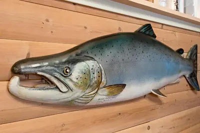 a fish hanging on a wall with its mouth at Voss/Bolstad: Peaceful countryside cabin/lodge in Bolstadøyri