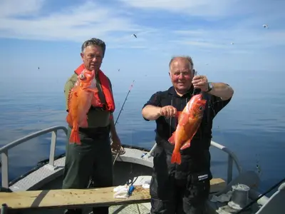 two men standing on a boat holding large fish at Havglimt in Oksvoll