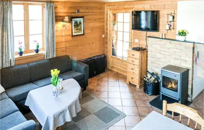 a living room with a couch and a fireplace at Kyrping Ferieplass A in Erve