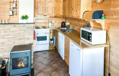 a kitchen with a stove microwave and a fireplace at Kyrping Ferieplass A in Erve