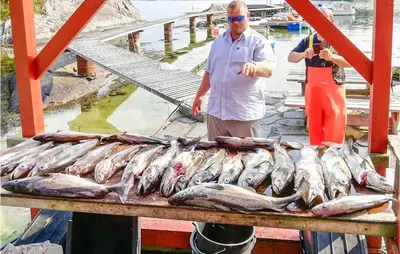 a man standing next to a pile of fish on a table at 3 Bedroom Beautiful Home In Hatlestrand in Hatlestrand