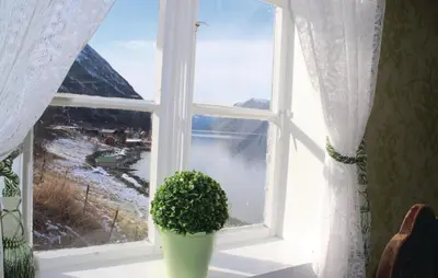 a window with a potted plant on a window sill at Naddvik in Årdalstangen