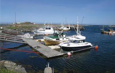 a group of boats docked at a dock in the water at Holiday Home Farstad Rævhaugen in Farstad