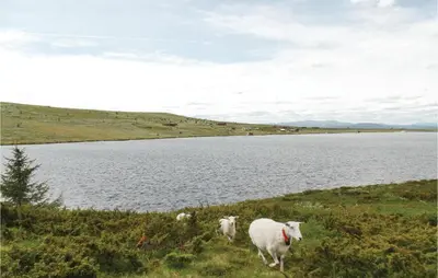 two sheep standing in the grass near a lake at Storhytta in Vinstra