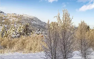 a group of trees in the snow with a mountain at Holiday Home Gålå Peer Gyntlia Ii in Gålå