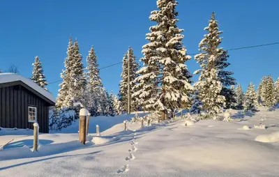 a snowy yard with snow covered trees and a building at Månebu in Nesbyen
