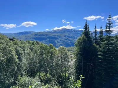a view of a forest with mountains in the background at Hytto in Håra