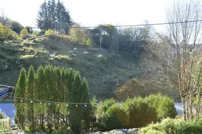 a hill with trees and a string of lights at Guesthouse in Manger, Radøy Island in Kollstad
