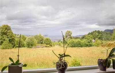 a window with potted plants and a field of grass at 5 Bedroom Lovely Home In Bjoa in Utbjoa