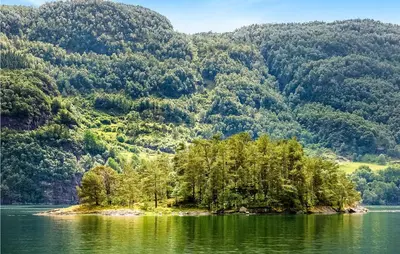 an island in the middle of a lake with trees at Awesome Home In Etne With Sauna in Erve