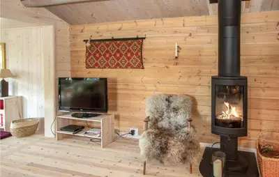 a living room with a fireplace and a chair and a tv at Cozy Home In Sykkylven With Kitchen in Sykkylven