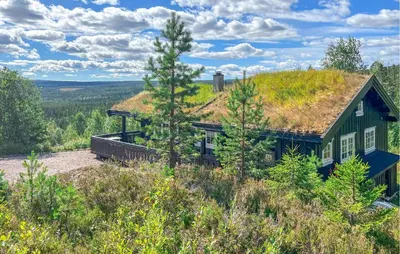 a house with a grass roof on top of a hill at Pet Friendly Home In Rena With Wifi in Rena