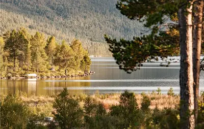 a view of a lake with trees and a mountain at 3 Bedroom Lovely Home In Tynset in Tynset