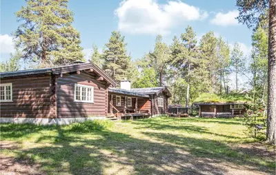 a log cabin in the woods with a yard at Lovely Home In Drevsjø With Lake View in Drevsjø