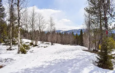 a snow covered road with trees and mountains in the background at 4 Bedroom Stunning Home In Vinstra in Vinstra