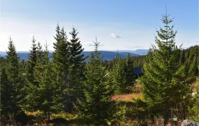 a group of pine trees in a field at Stunning Home In Øyer With Wifi in Øyer