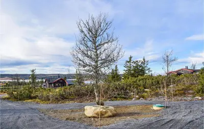 a small tree in the middle of a road at 3 Bedroom Amazing Home In Sjusjøen in Sjusjøen