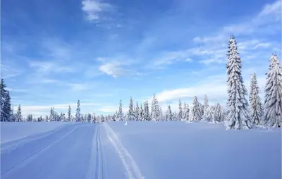 a snow covered field with trees and tracks in the snow at Lovely Home In Lillehammer With Kitchen in Lillehammer