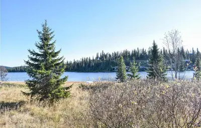 a view of a lake with a christmas tree in a field at Sjusjøen Pihl 4001 in Sjusjøen
