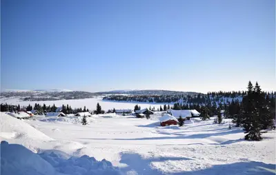 a village covered in snow with a lake in the background at Leil 70 in Sjusjøen