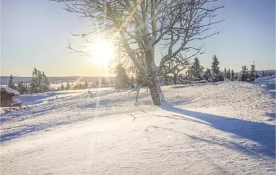 a tree on a snowy hill with the sun in the background at 4 Bedroom Cozy Home In Sjusjøen in Sjusjøen